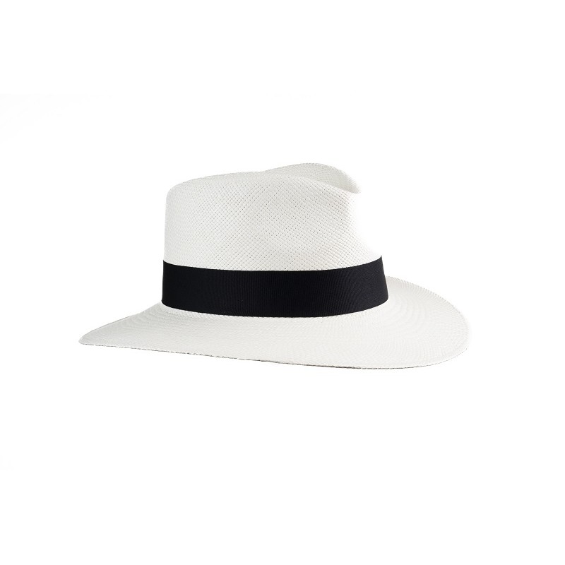 Inicio Aussie superior