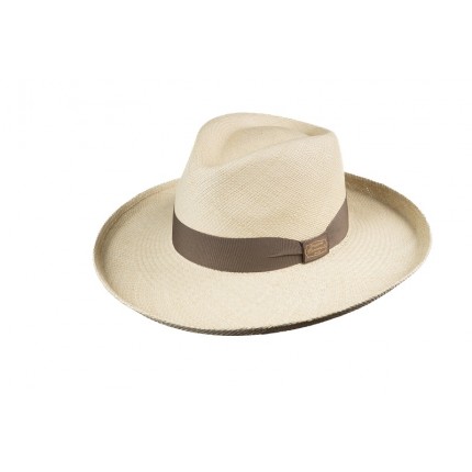 Terrateniente Ala Alzada